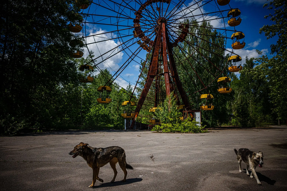 03SCI-CHERNOBYL-02-superJumbo.webp