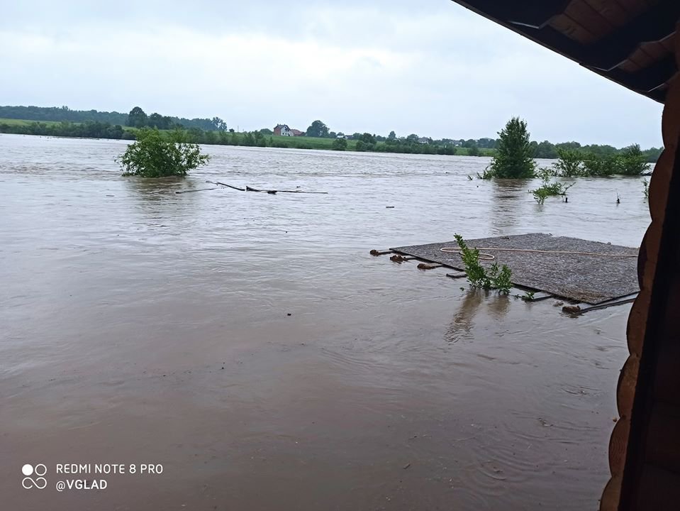 Фото з сайту Курс