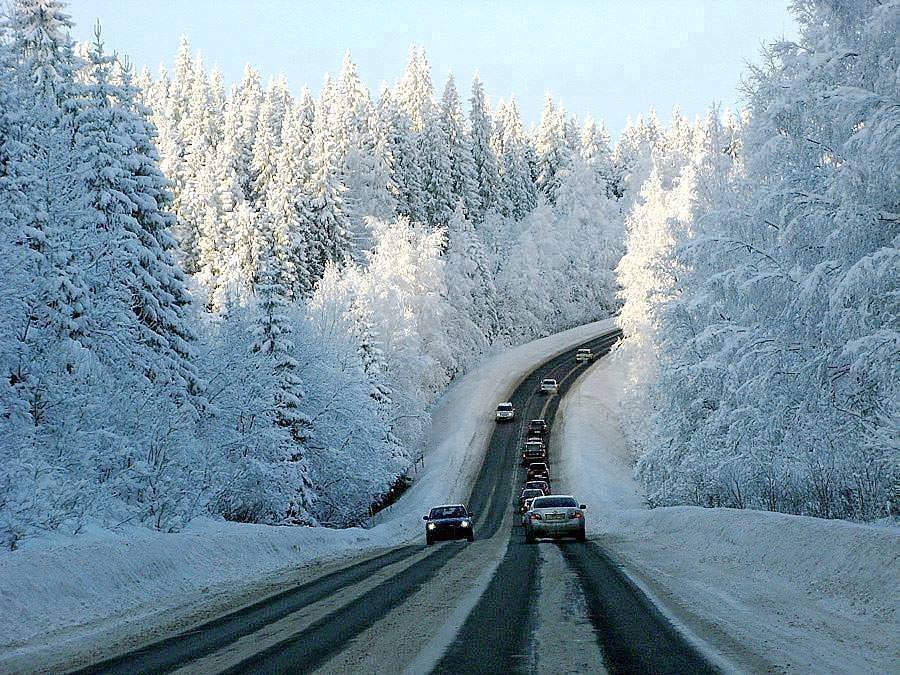 Фото ілюстративне, з відкритих джерел