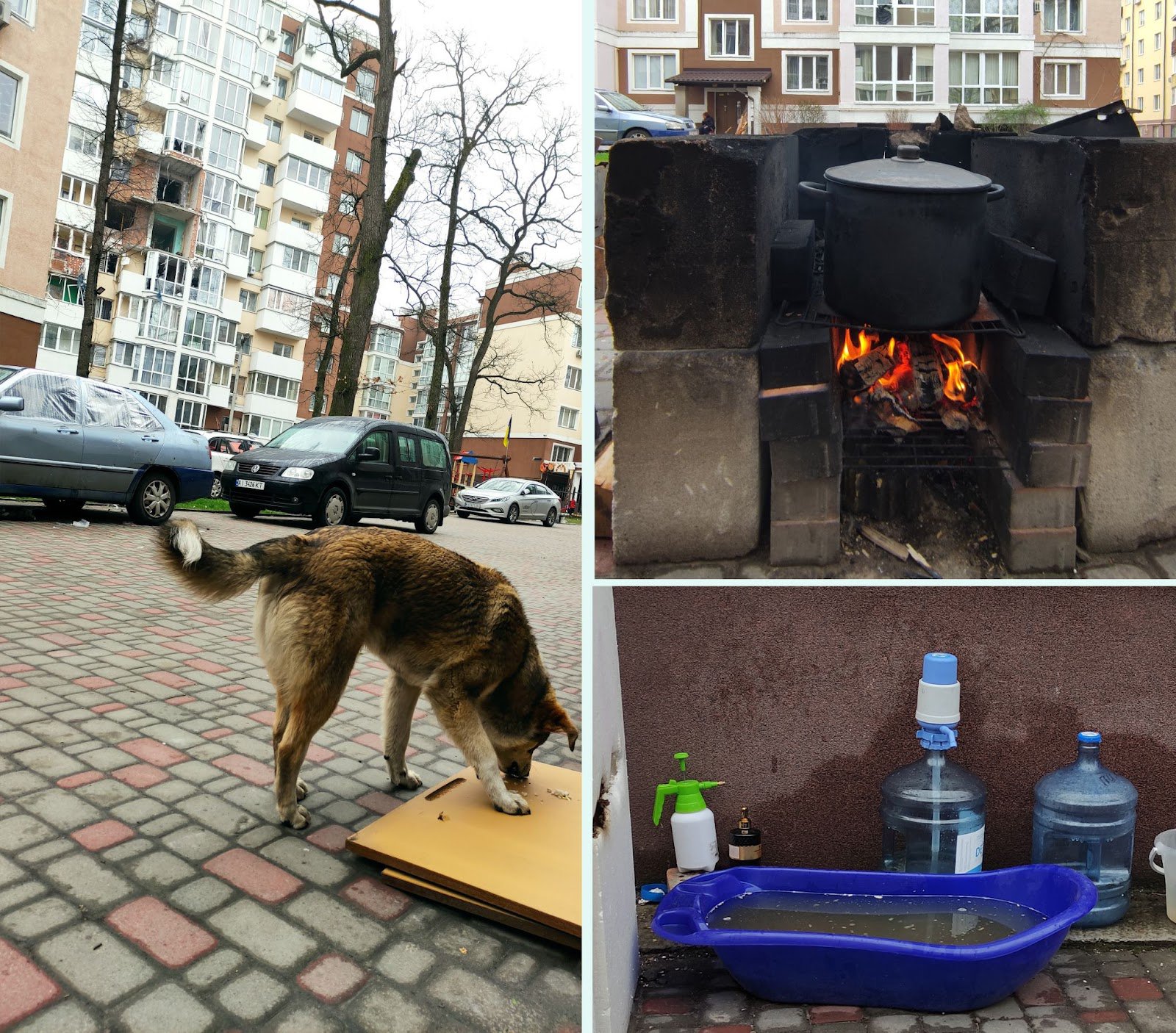 Понад три тижні без зв'язку, води, світла та газу. Серед покинутих тварин, під постійними артобстрілами й прицілами автоматів окупантів. Люди утворили цілі комуни для спільного виживання в екстремальних умовах