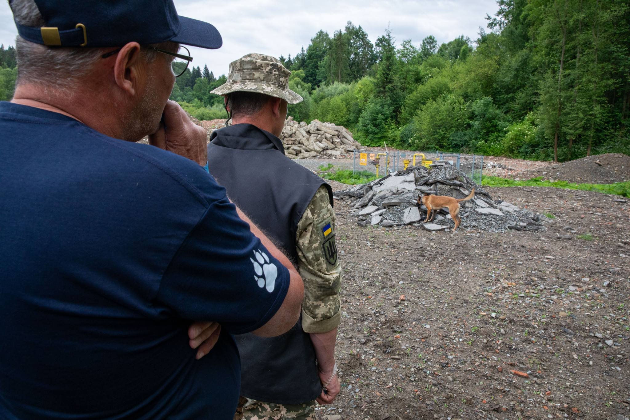 ЄС передав Силам підтримки ЗСУ 12 собак-саперів розмінування, Фото дня, україна-єс, сапери