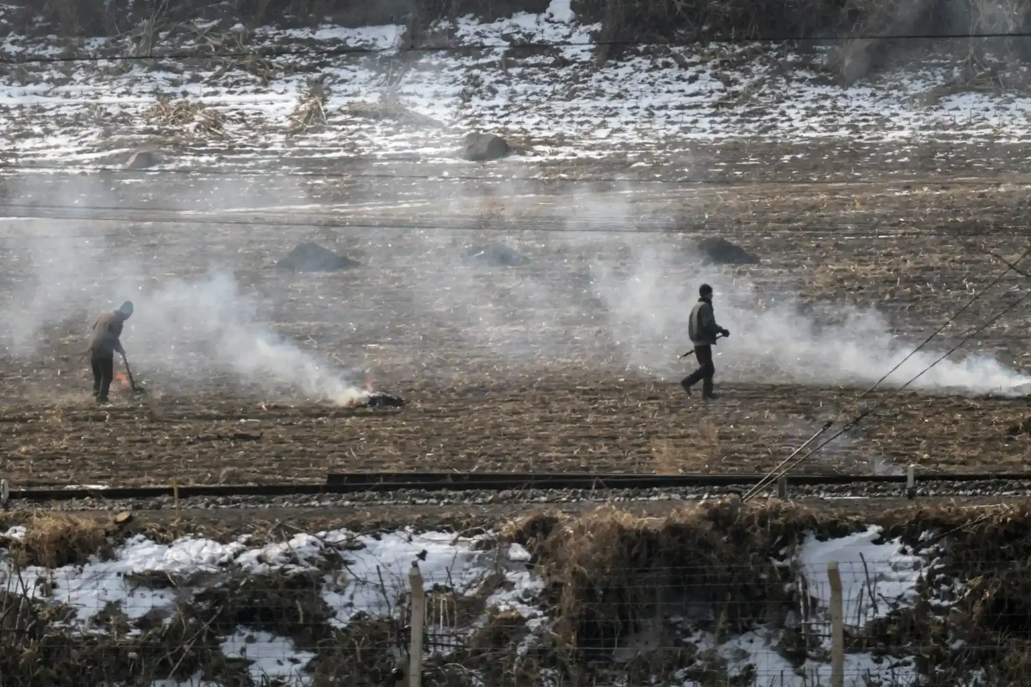 Північнокорейці працюють у полі