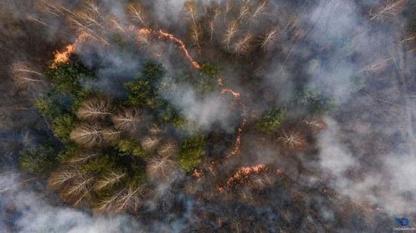 Фото дня. Чорнобильська зона горить восьмий день