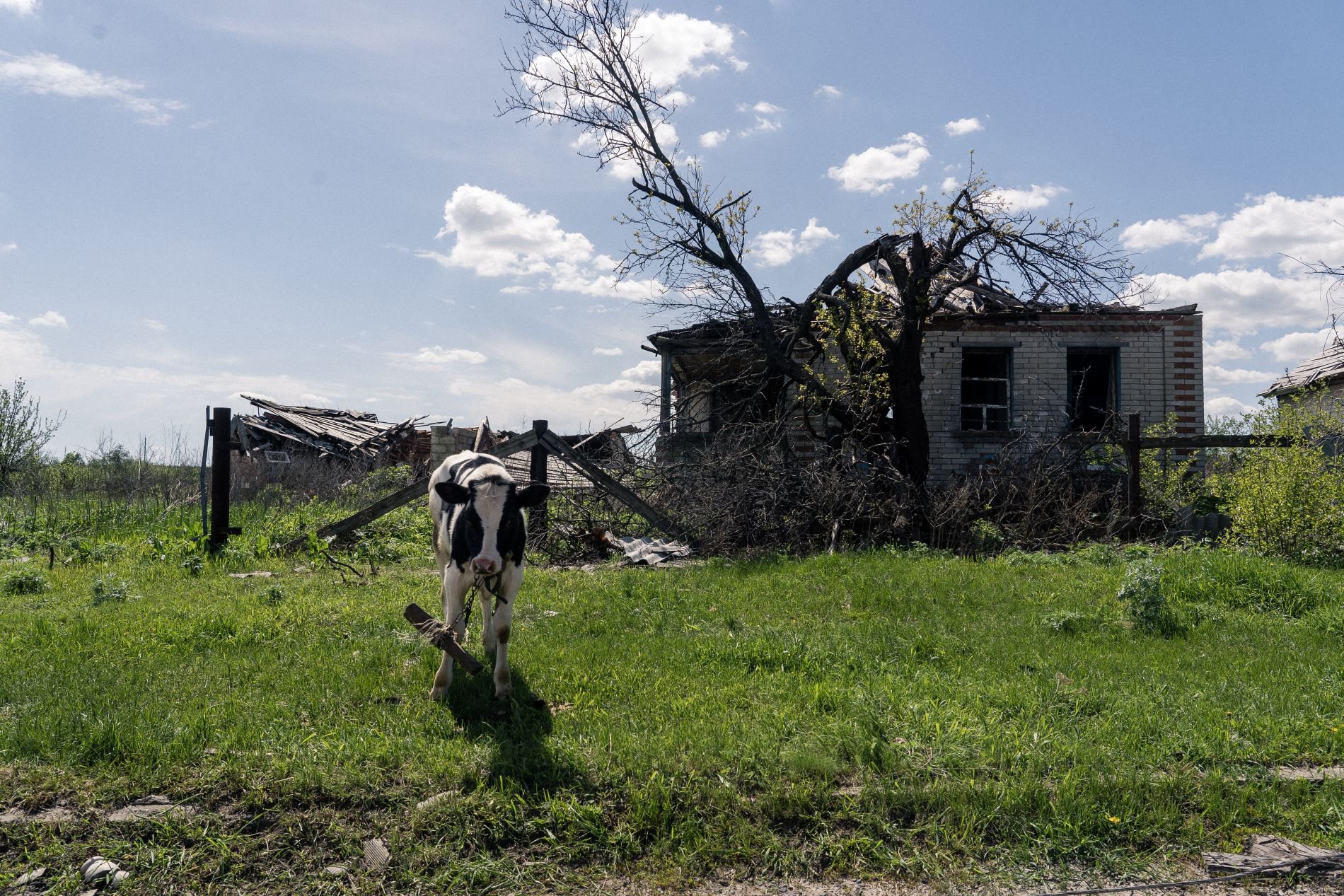 Село Довгеньке кілька місяців перебувало на лінії фронту