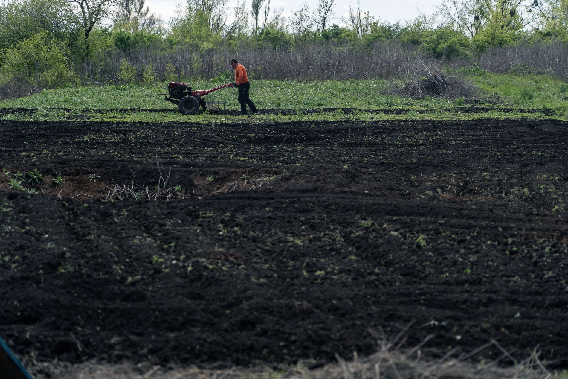 Мешканці Довгенького обробляють свої городи