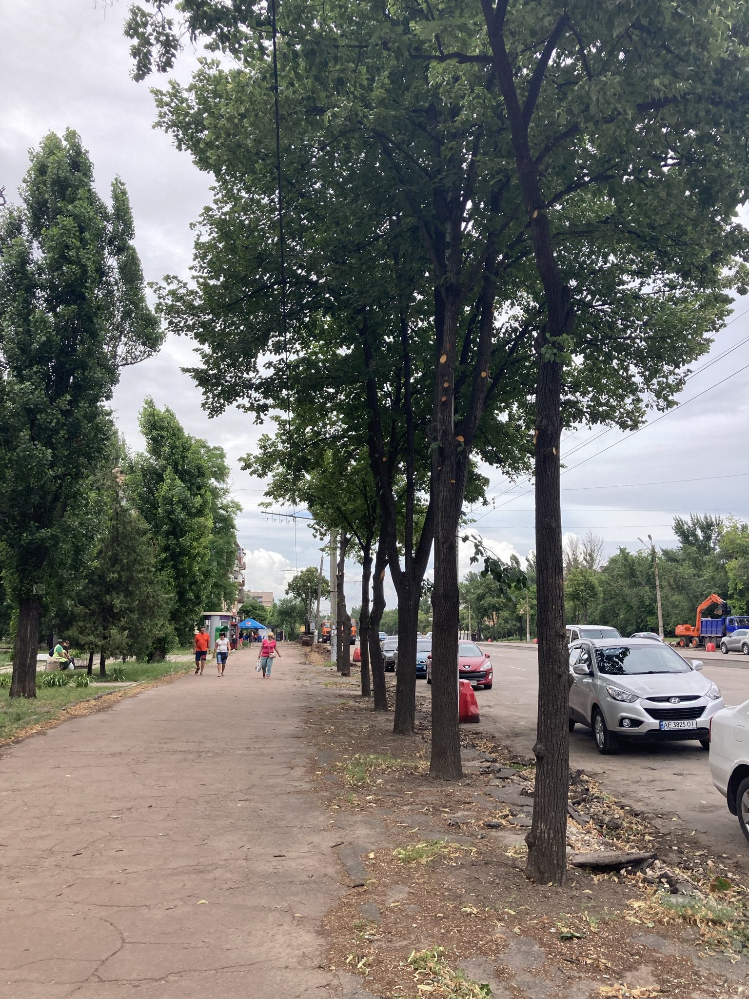 А так було донедавна (зверніть увагу на дерево в самому кінці алеї, його видно на цьому і на попередньому фото)