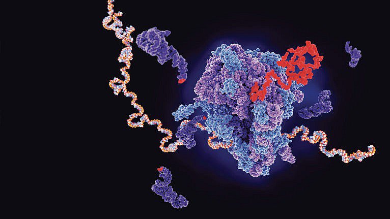 MRNA-ILLUSTRATION-COVID-19-FRANGOU-FEB02-766x431.jpg