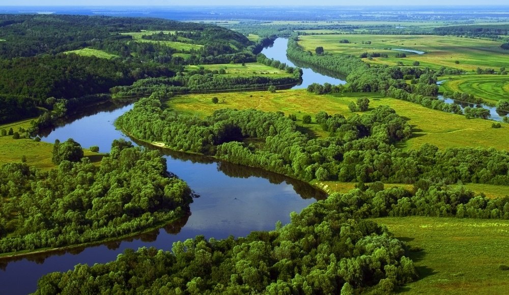 Фото ілюстративне, з відкритих джерел