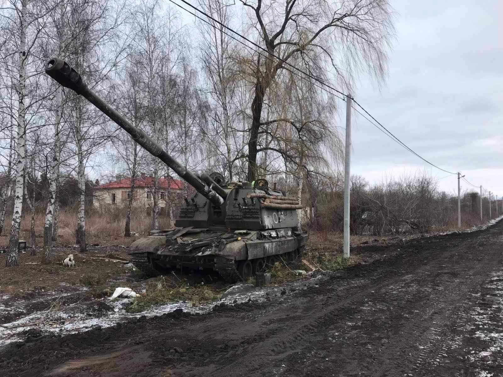 Покинута ворожа САУ біля дороги. Фото надане головою ТГ Олегом Бузуном