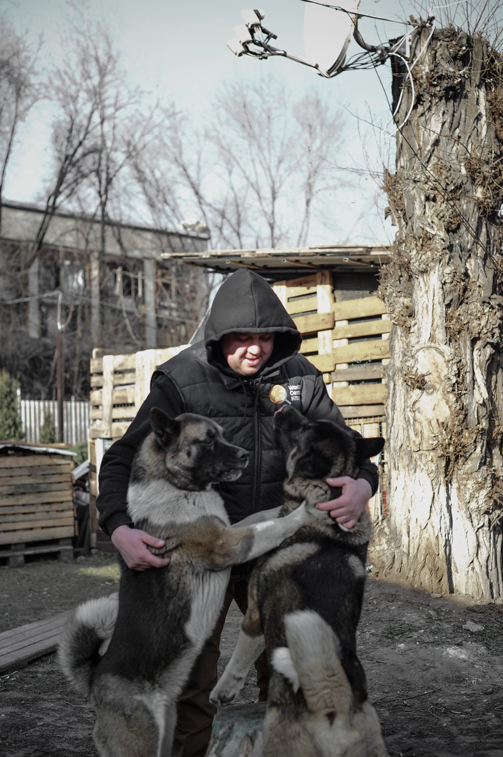 Сергій Онищенко та його песики