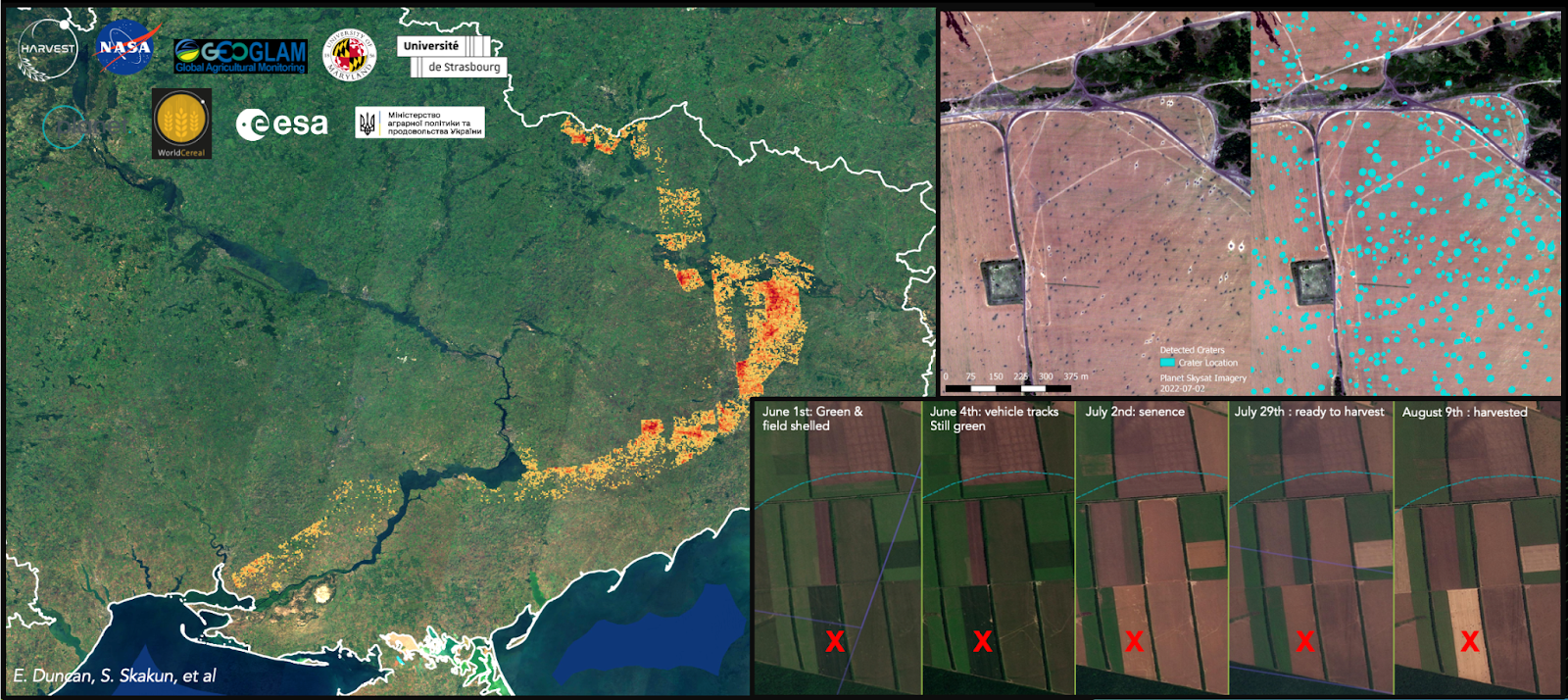 Карти NASA Harvest показують 2,5 мільйона артилерійських і ракетних ударів, нанесених на лінію фронту в 2022 році (ліворуч), виявлення кратерів на сільськогосподарських полях за допомогою знімків Planet Skysat (вгорі праворуч), а також обстріляні поля, які все ще були зібрані стійкими фермерами в 2022 році (внизу праворуч).