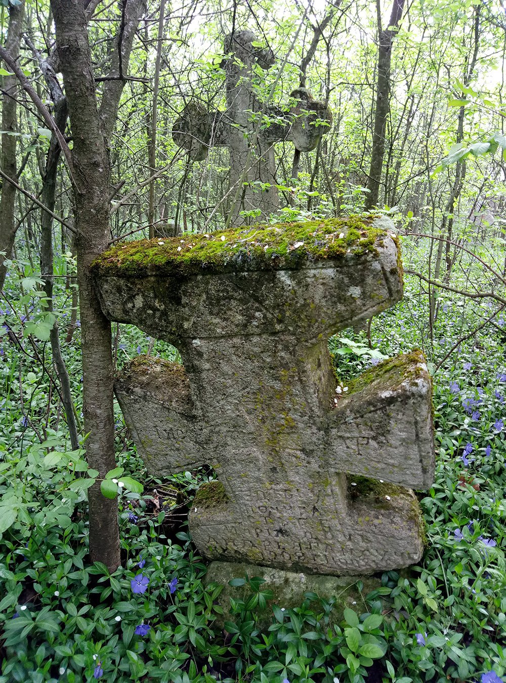 Старий цвинтар (фото з Вікіпедії)