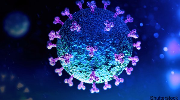 coronavirus-shutterstock_1643947495_WEB-1.jpg