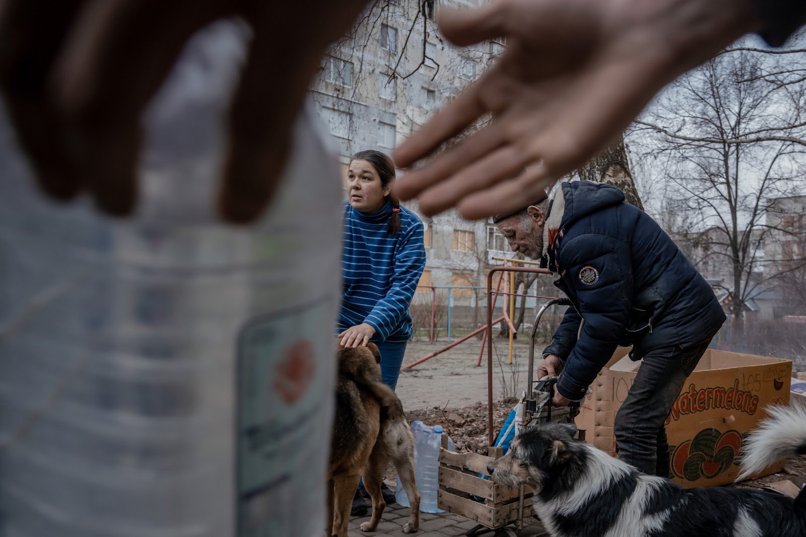 Фото: Данило Павлов