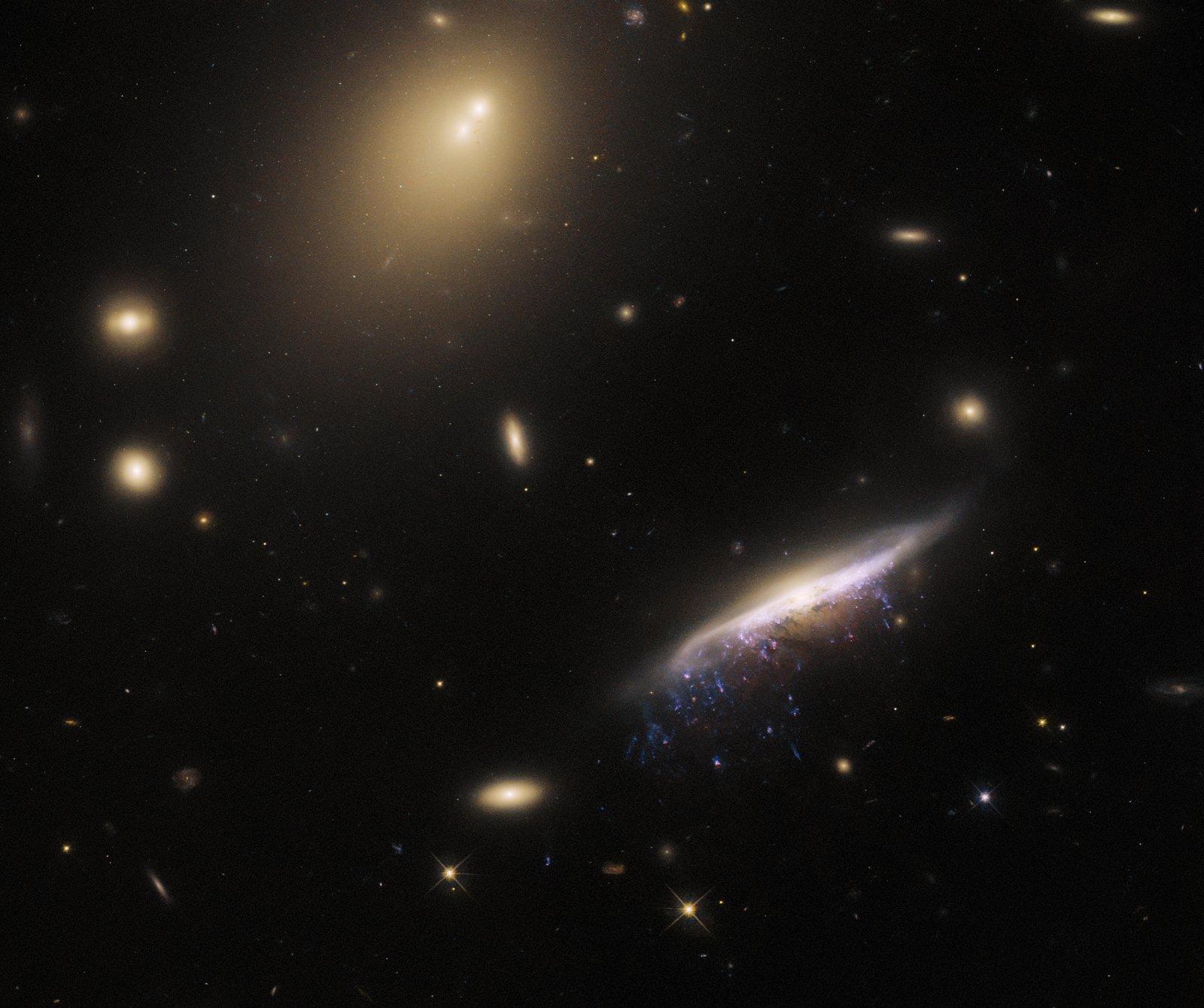 hubble_jw100_potw2312a.jpg