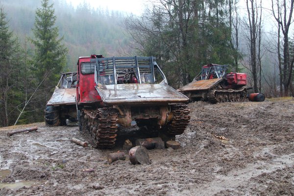 Закон, який прийняли Слуги, за назвою начебто забороняє суцільні вирубки в Карпатах, а насправді їх спрощує (ФОТО)