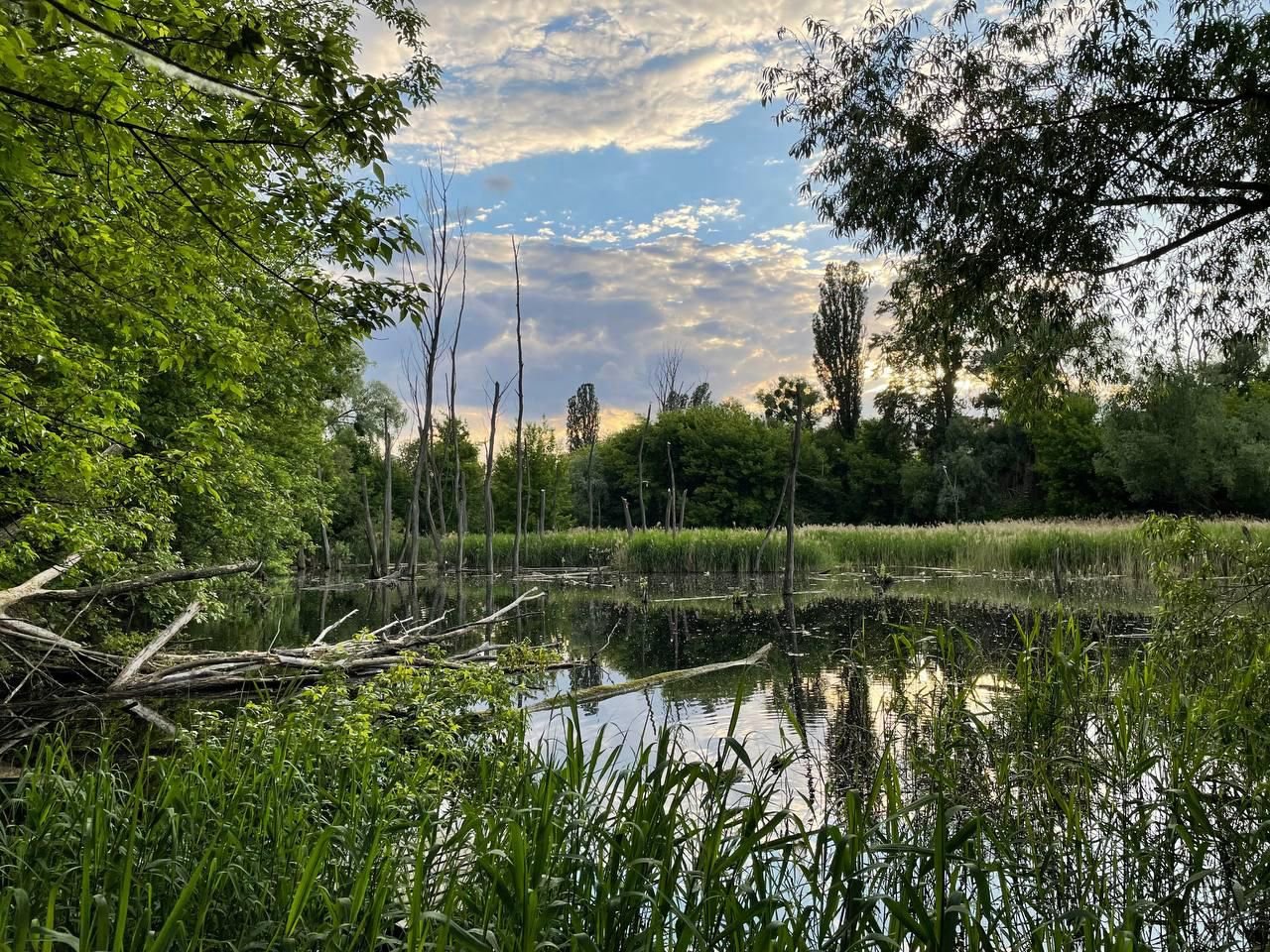 Совські ставки. Фото з презентації, яку створили місцеві жителі, щоб представити своє бачення розвитку цієї території