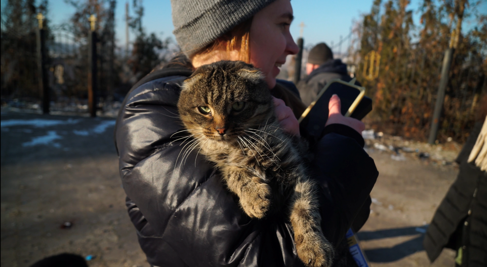 Кіт Стетхем, урятований із Богородичного, Донецька обл. Фото Євгена Керпатенка