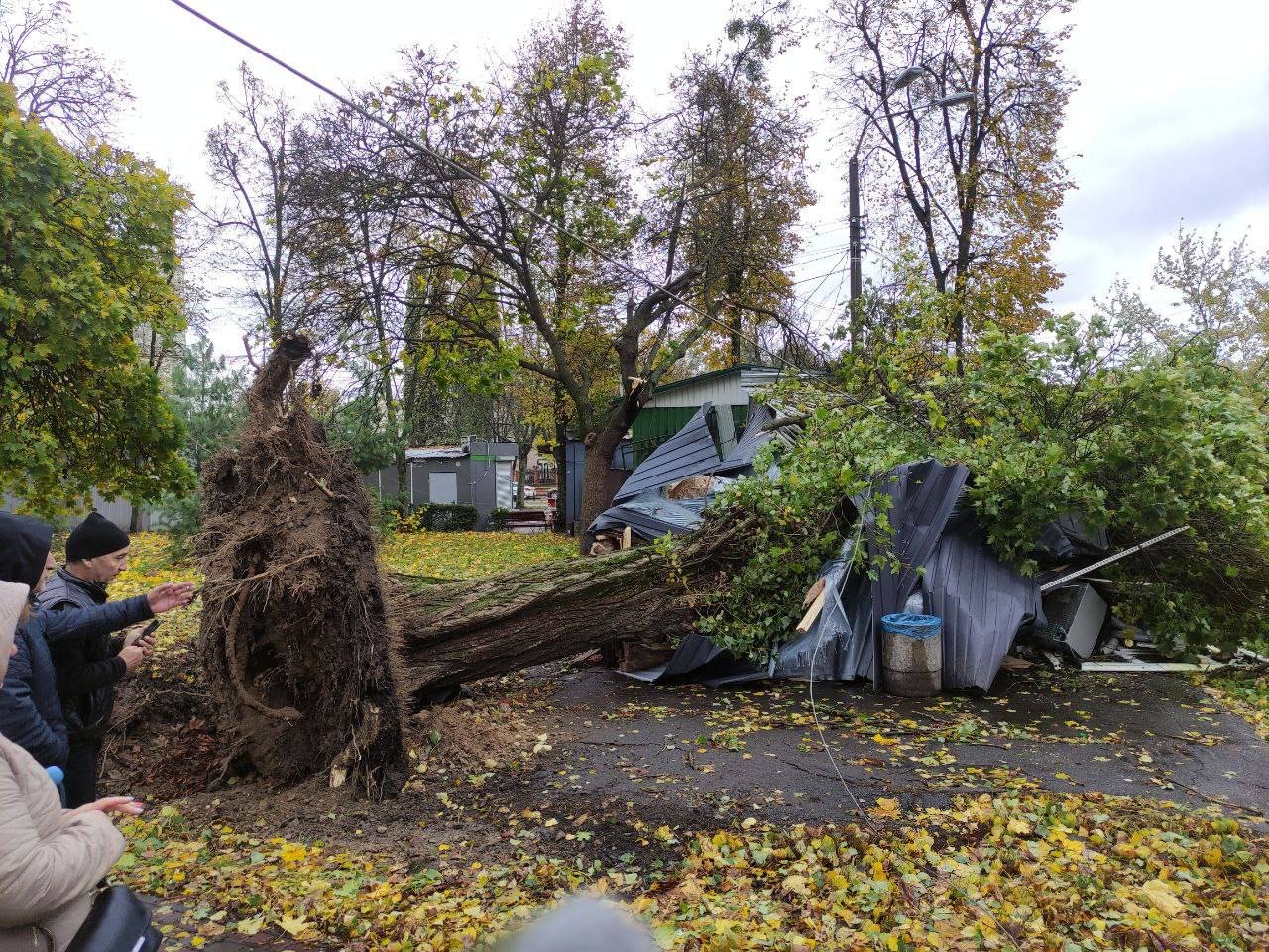 Наслідки буревію у Києві. Фото: КМВА