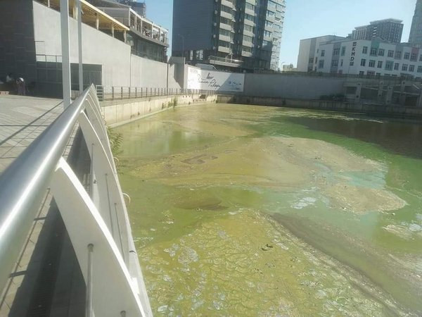 Зелене та смердюче. Напівзасипані забудовниками водойми Києва гниють (ФОТО)