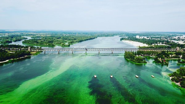 Щоб не цвів Дніпро, "Київводоканал" просить заборонити фосфатні пральні порошки