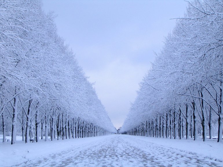 Фото ілюстративне, з відкритих джерел