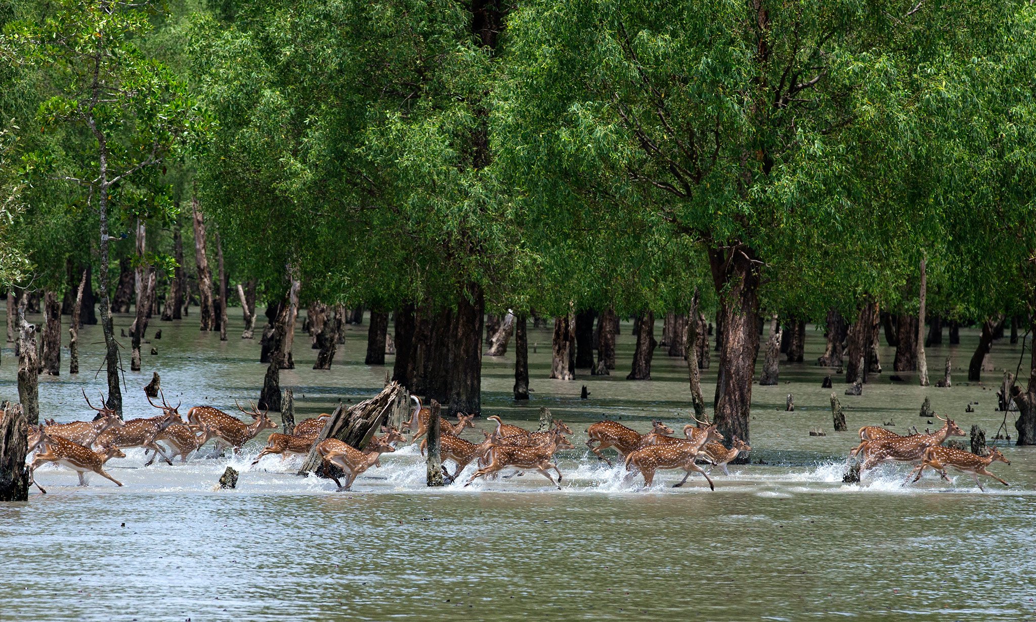 Фото National Geographic