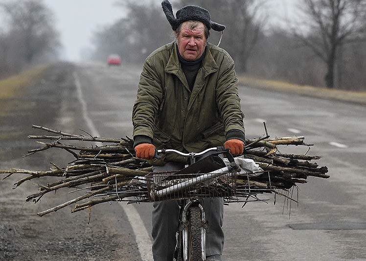 валєжнік.jpg