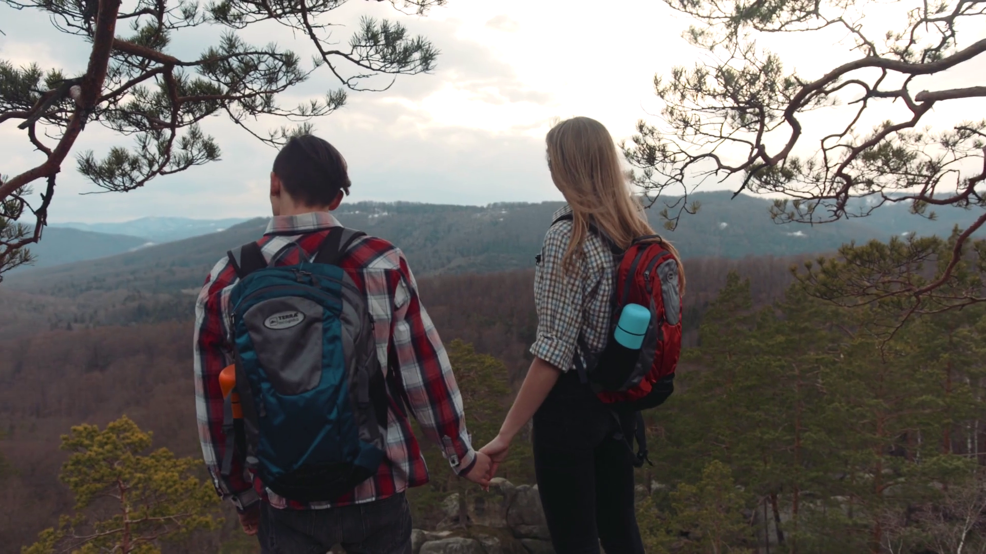 videoblocks-back-view-of-young-hikers-on-the-top-of-the-hill-holding-their-hands-strong-wind-colossal-nature-no-people-around-into-the-woods-close-up-view-slow-motion_bocajxvhe_thumbnail-full01.png